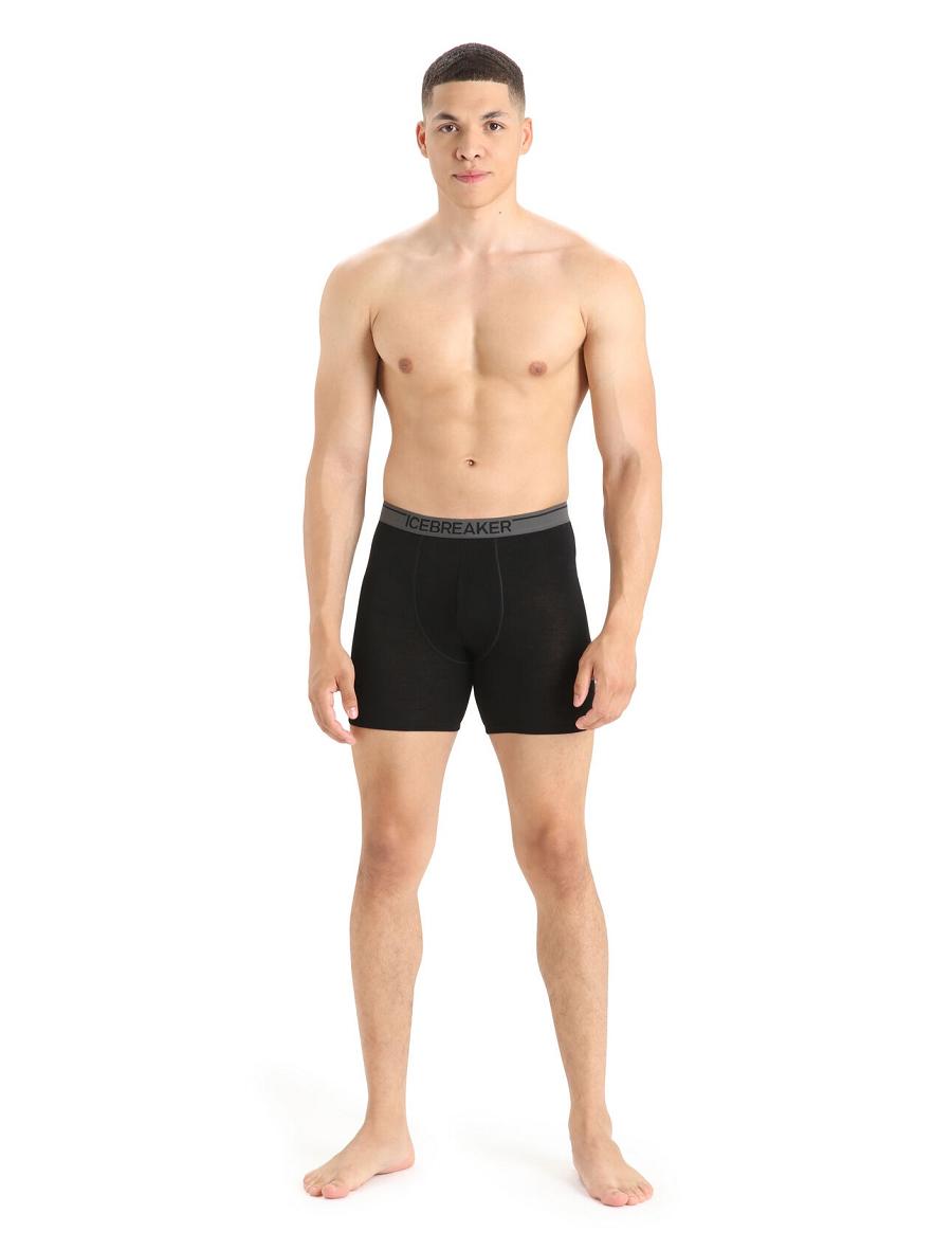 Men's Icebreaker Merino Anatomica Long Boxers Underwear Black | CA 1662KORI